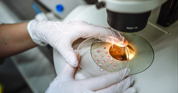 Agree or disagree: Genetic engineering of humans should be allowed to eliminate diseases.