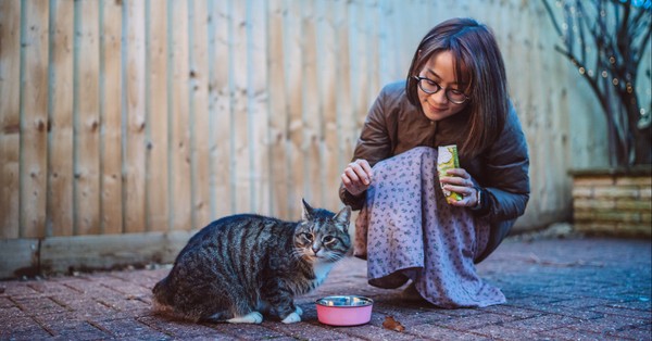 Agree or disagree: It’s perfectly fine to sometimes give food to a neighbor’s cat, even if they haven’t asked you to.
