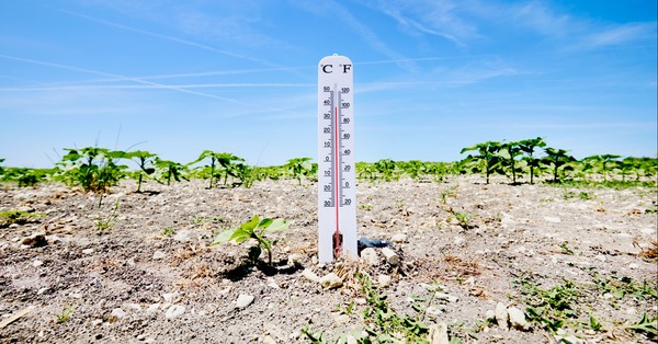 Agree or disagree: I’m terrified for the future of our climate.