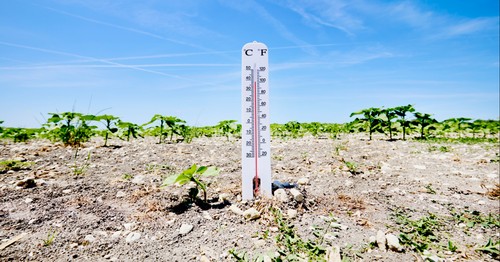 Agree or disagree: I’m terrified for the future of our climate.