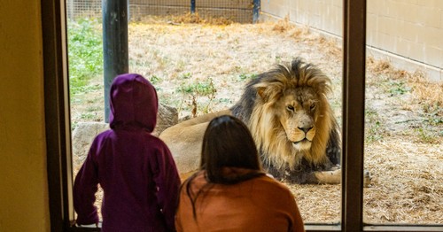Agree or disagree: Keeping animals in zoos is never justified.