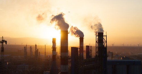 Agree or disagree: Businesses should be held more responsible than consumers for reducing environmental damage.