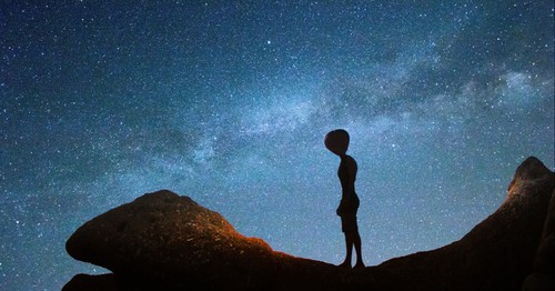 Agree or disagree: I believe Alien life exists.