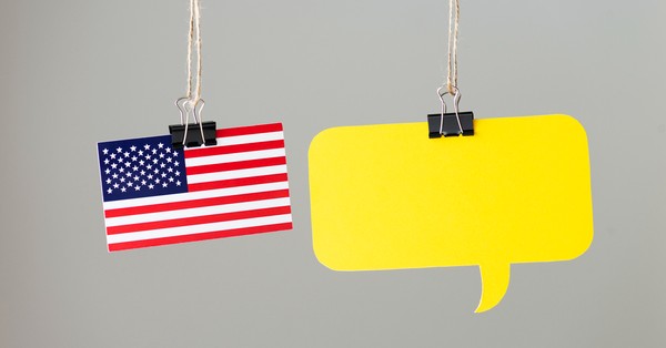 Agree or disagree: A chatbot could not persuade me to change my political views.