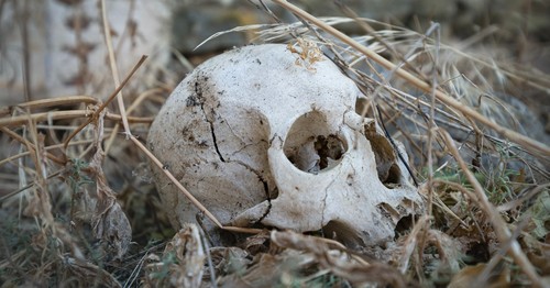 Agree or disagree: The desecration of human remains should carry the same legal weight as crimes against the living.