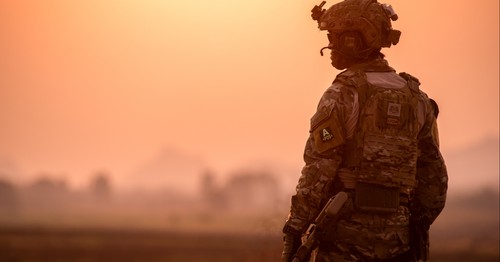 Agree or disagree: No cause could make me join the army and go to war for my country.