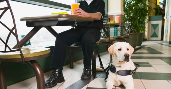 Agree or disagree: Dogs should be allowed in all restaurants.