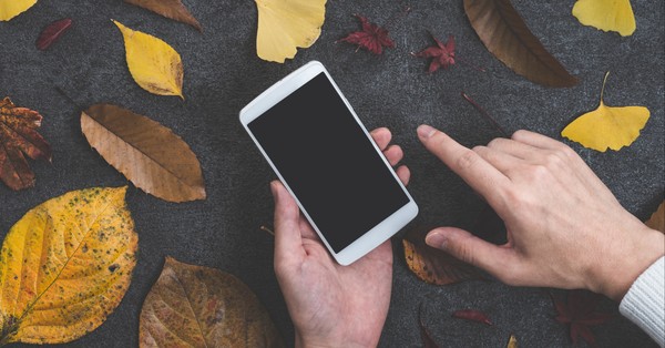 What should happen to your digital life when you die?